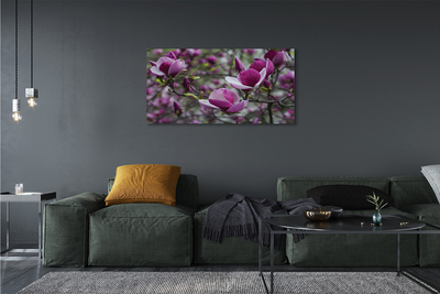 Quadro su tela Magnolia viola