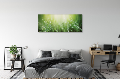 Foto quadro su tela Cade il sole dell'erba
