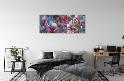 Quadro su tela Alberi magnolia