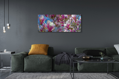 Quadro su tela Alberi magnolia