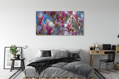 Quadro su tela Alberi magnolia