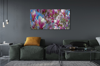 Quadro su tela Alberi magnolia