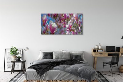 Quadro su tela Alberi magnolia