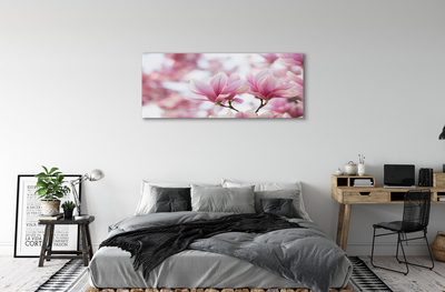 Foto quadro su tela Alberi magnolia