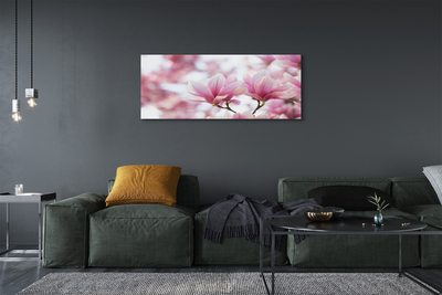 Foto quadro su tela Alberi magnolia