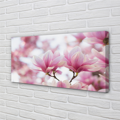 Foto quadro su tela Alberi magnolia