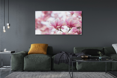 Foto quadro su tela Alberi magnolia