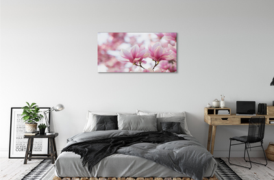 Foto quadro su tela Alberi magnolia