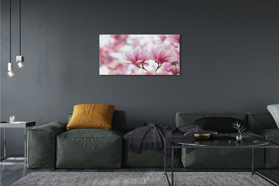 Foto quadro su tela Alberi magnolia