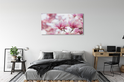 Foto quadro su tela Alberi magnolia
