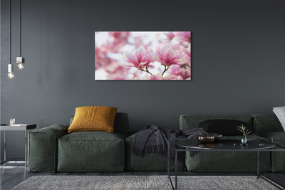 Foto quadro su tela Alberi magnolia