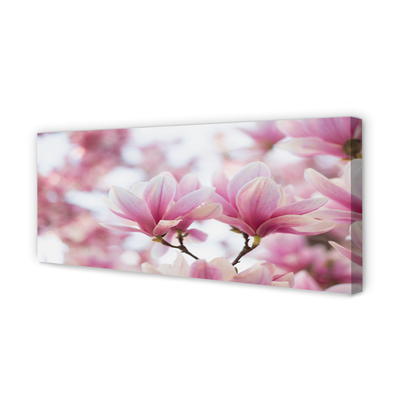 Foto quadro su tela Alberi magnolia