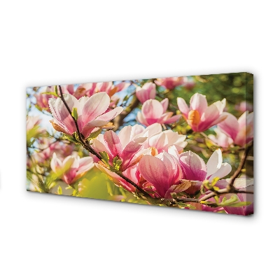 Quadro su tela Magnolia rosa