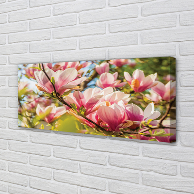 Quadro su tela Magnolia rosa