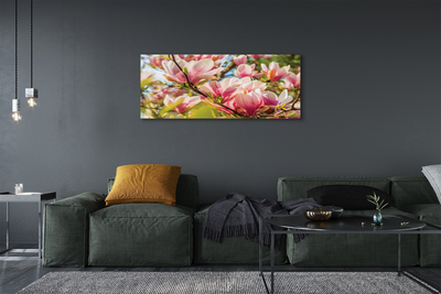 Quadro su tela Magnolia rosa