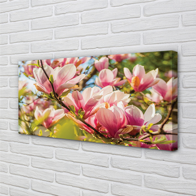 Quadro su tela Magnolia rosa