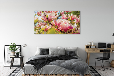 Quadro su tela Magnolia rosa