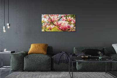 Quadro su tela Magnolia rosa