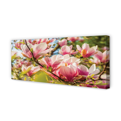 Quadro su tela Magnolia rosa