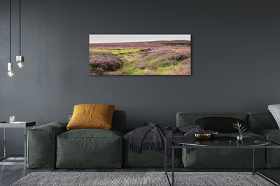 Quadro su tela Campo heather