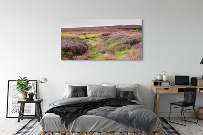 Quadro su tela Campo heather