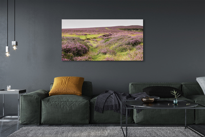 Quadro su tela Campo heather