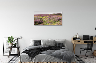 Quadro su tela Campo heather