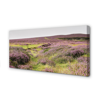 Quadro su tela Campo heather