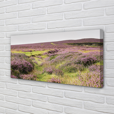 Quadro su tela Campo heather