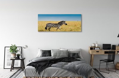 Stampa quadro su tela Campo zebra