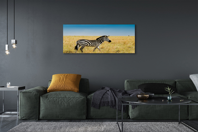 Stampa quadro su tela Campo zebra