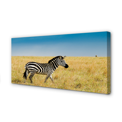 Stampa quadro su tela Campo zebra