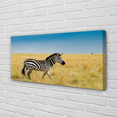 Stampa quadro su tela Campo zebra