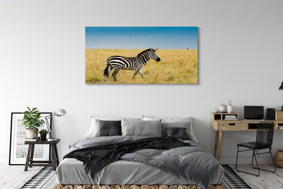 Stampa quadro su tela Campo zebra