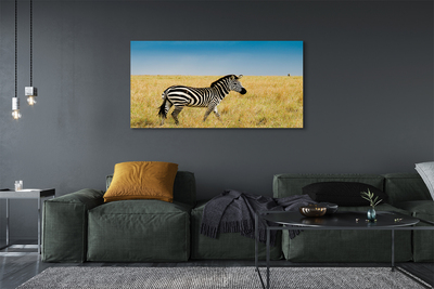 Stampa quadro su tela Campo zebra