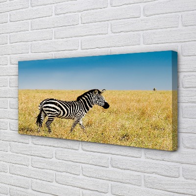 Stampa quadro su tela Campo zebra