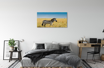 Stampa quadro su tela Campo zebra