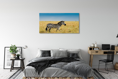 Stampa quadro su tela Campo zebra