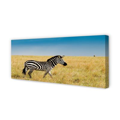 Stampa quadro su tela Campo zebra