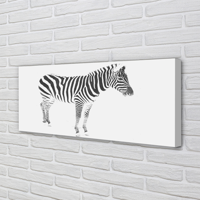 Quadro su tela Zebra dipinta