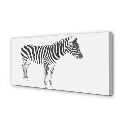 Quadro su tela Zebra dipinta