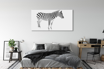 Quadro su tela Zebra dipinta