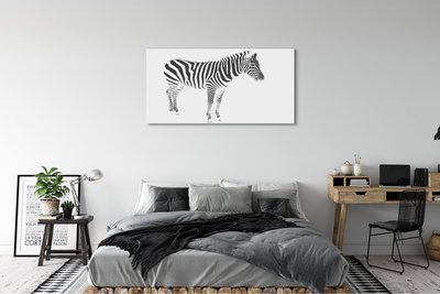 Quadro su tela Zebra dipinta