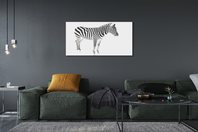 Quadro su tela Zebra dipinta