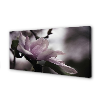 Quadro su tela Magnolia