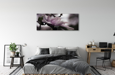 Quadro su tela Magnolia