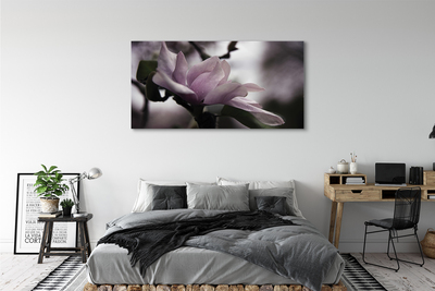 Quadro su tela Magnolia