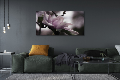 Quadro su tela Magnolia