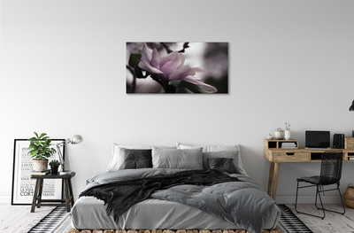 Quadro su tela Magnolia