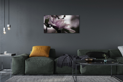 Quadro su tela Magnolia